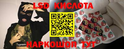 винт Кимры
