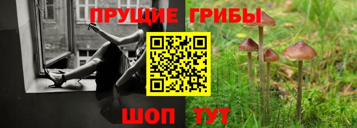 Кохма  наркошоп  Вход с VPN  Псилоцибиновые грибы мухоморы 